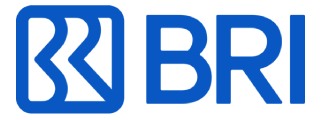 BRI Fellowship Journalism 2025